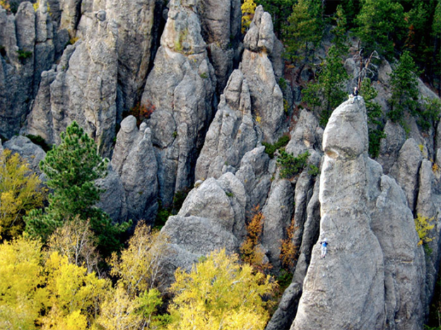 Things to Do in Custer State Park - Black Hills, South Dakota • The ...