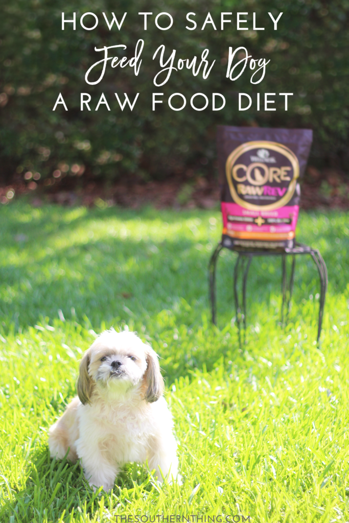 is raw dog food safe